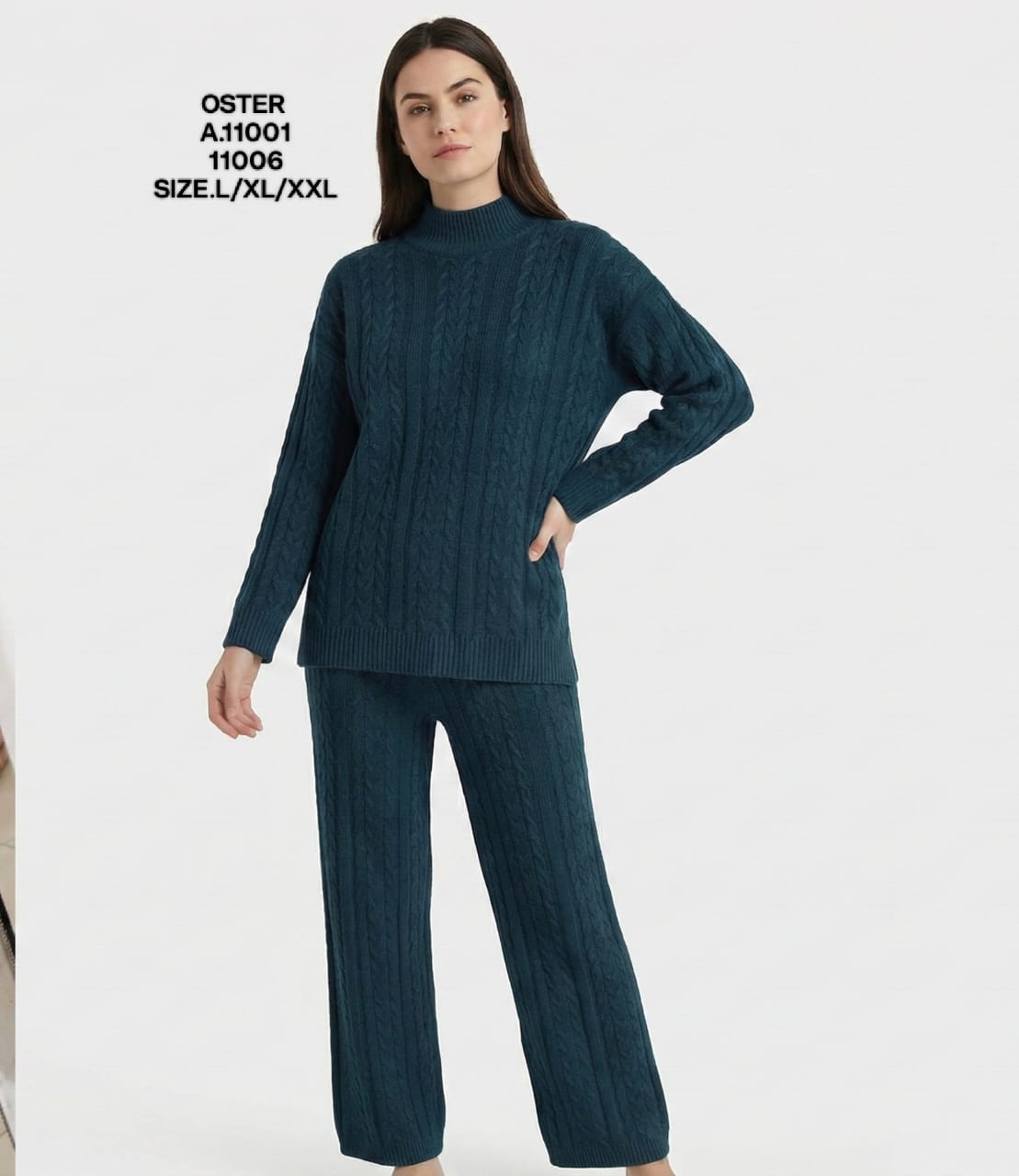 OSTER-CORD SET-11006