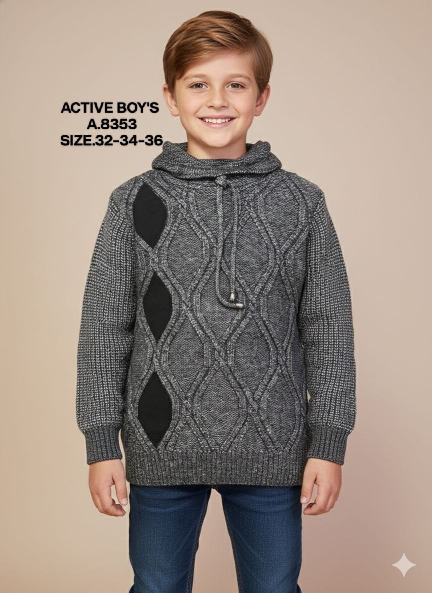 ACTIVE BOY-SWEAT SHIRT-8353