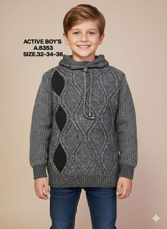 ACTIVE BOY-SWEAT SHIRT-8353