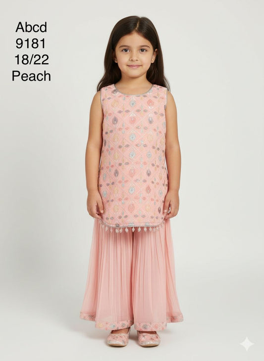 ABCD-GHARARA SUIT-9181