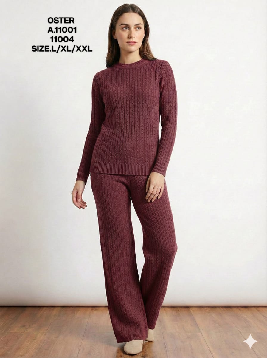 OSTER-CORD SET-11004